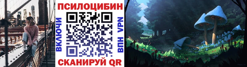 где купить   Гусиноозёрск  Галлюциногенные грибы Psilocybe 